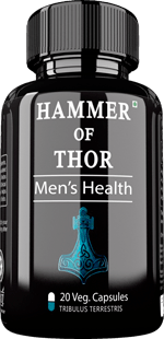 胶囊 Hammer of Thor